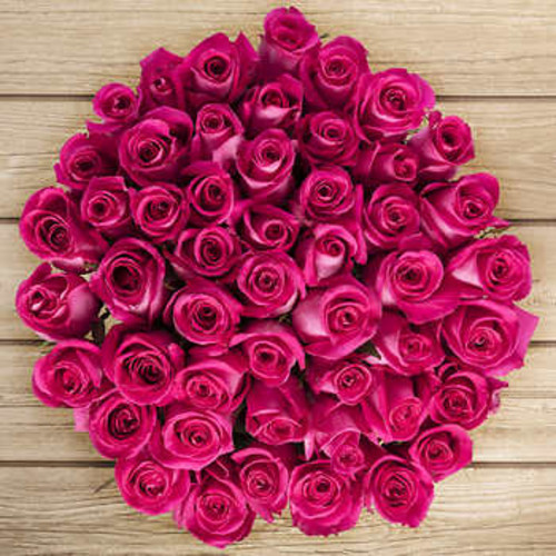 50-stem Light Pink Roses